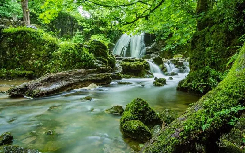 电子节能智能系统